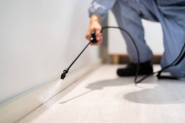 Bed Bug Pre-Treatment Preparation Assessment in Carthage