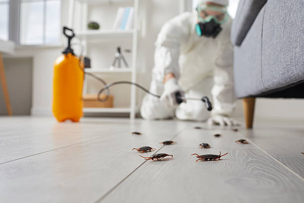Post-Treatment Bed Bug Interceptor Monitoring in Carthage