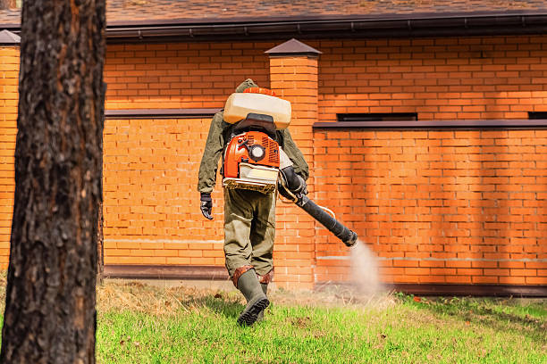 Bed Bug Clearance Verification and Documentation in Carthage